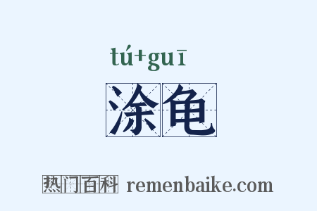 涂龟是什么意思的图片